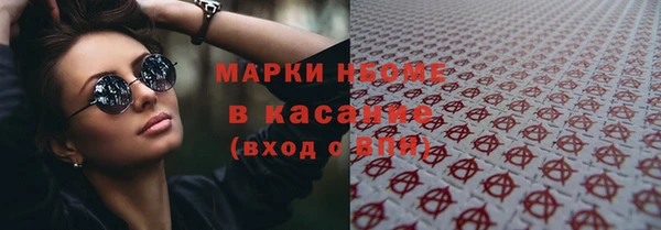 индика Алексин