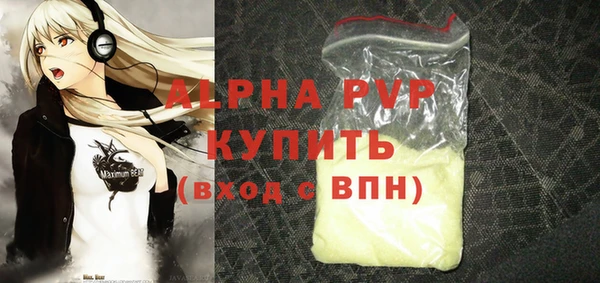 индика Алексин