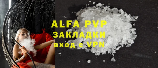 индика Алексин