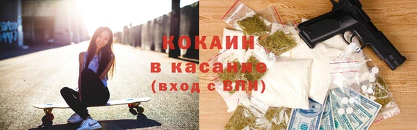 индика Алексин